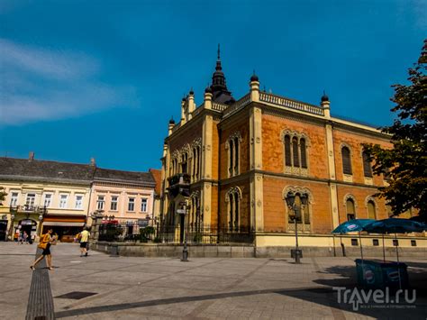 Первые впечатления и знакомство