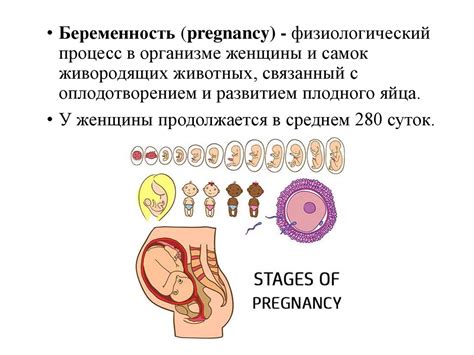 Первые открытия и начало развития