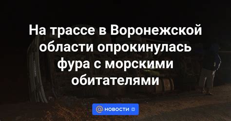 Переговоры с морскими обитателями