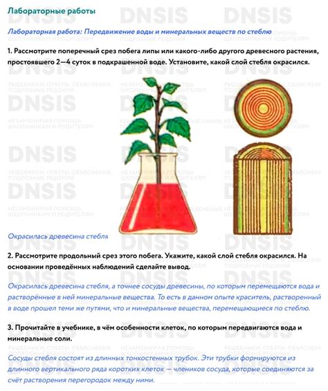 Передвижение по измерениям