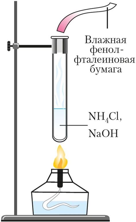 Перспективы исследования солей аммония, богатых металлами