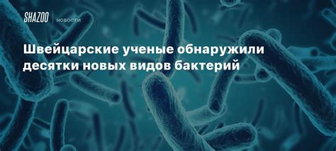 Перспективы развития и исследования новых видов бактерий