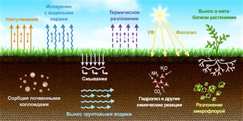 Пестициды усугубляют проблему почвенной загрязненности