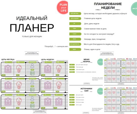 Планы на будущее: расширение производства