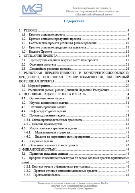 План масштабирования и развития