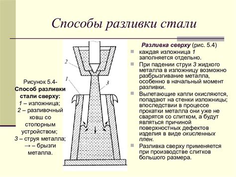 Пластичность и процессы формообразования