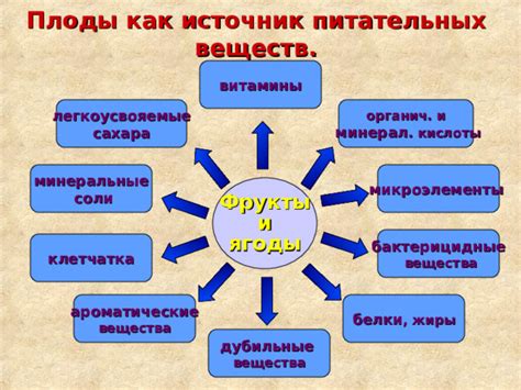 Плоды и ягоды как источник питательных веществ