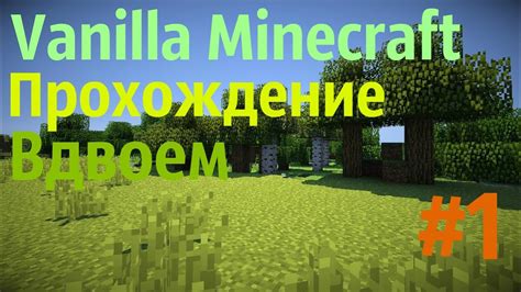 Плюсы и минусы использования карты для прохождения вдвоем Minecraft