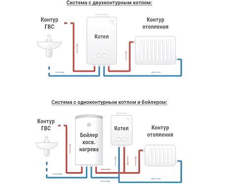 Плюсы и минусы разных видов кормов