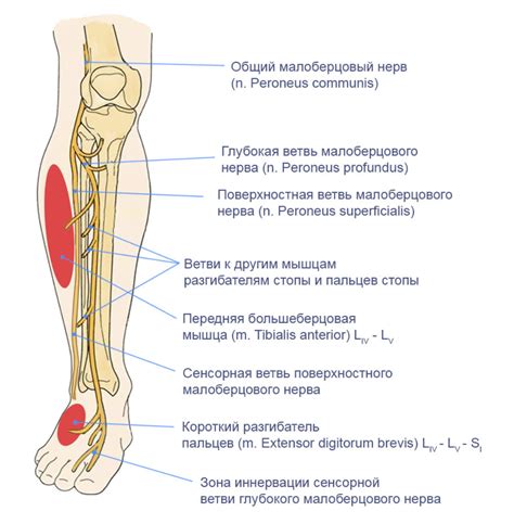 Повреждение аудиоразъема