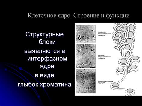 Повреждение генетического материала