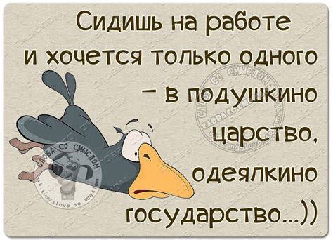 Повысьте свое настроение смешными фразами на обоях вашего телефона