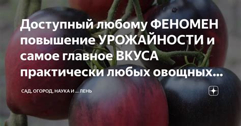 Повышение урожайности и разнообразия