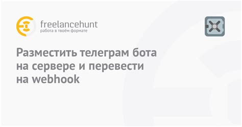 Подготовка ботов для запуска на сервере