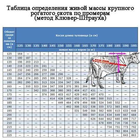 Подготовка для измерения