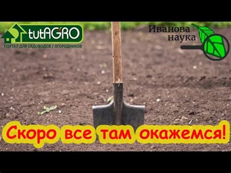 Подготовка земли для постройки фермы