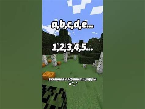 Подготовка перед отключением никнеймов в Minecraft