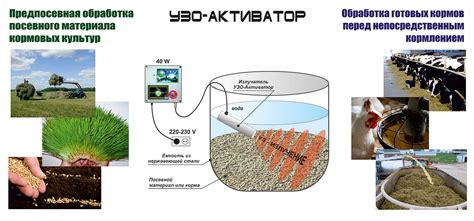 Подготовка питательных кормов для амфиптеров