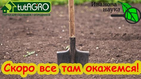 Подготовка почвы и семян для высадки