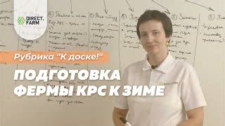 Подготовка фермы курей к использованию