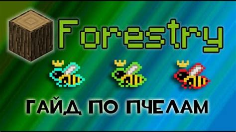 Подключение и настройка мода Forestry