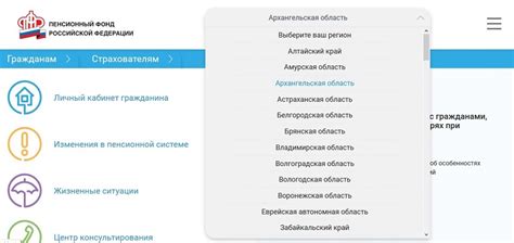 Подробная информация о работе Горячей линии Пенсионного фонда Дагестана