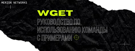 Подробное руководство по использованию команды /tp