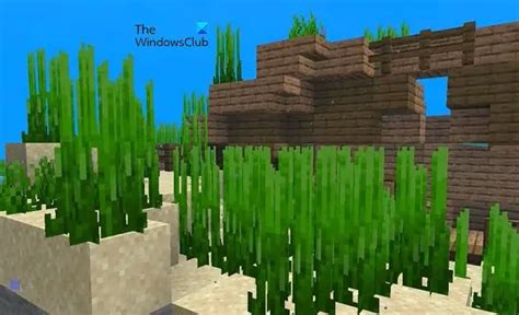 Подробные инструкции о том, где искать черепах в Minecraft и как их приручить