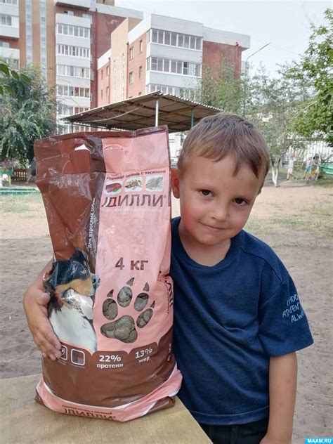 Позвоните и помогите бездомным пушистикам