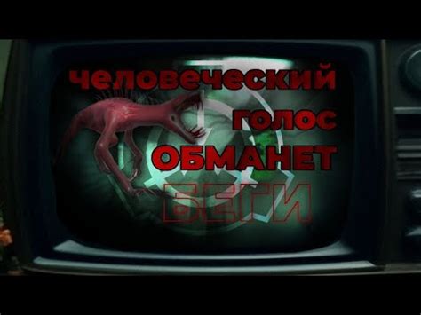 Познакомьтесь с новыми товарищами