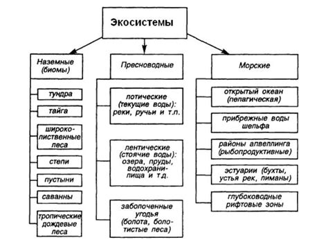 Поиск и исследование различных биомов