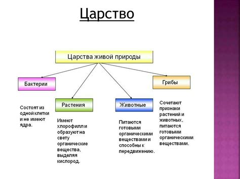 Поищите характерные признаки