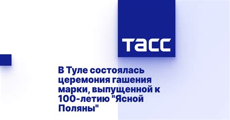 Покупка телефона Ясной Поляны в Туле