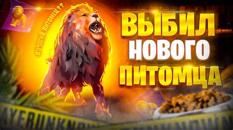 Полезность нового питомца в игре