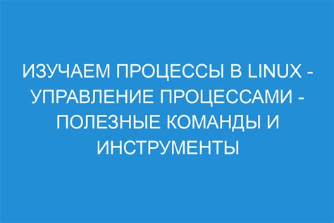 Полезные инструменты и команды для использования карты