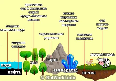 Полезные предметы и ресурсы для приручения