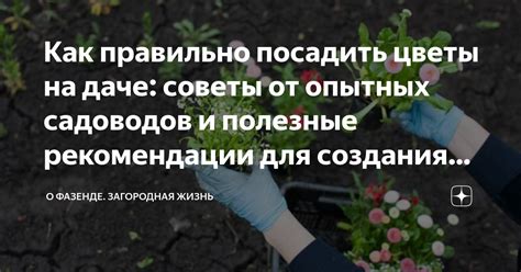 Полезные советы для эффективного общения в Майнкрафт