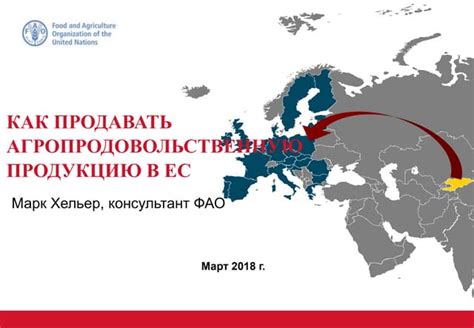 Полезные советы и стратегии для успешного завершения мейзы