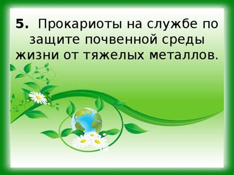 Полезные советы по защите от тяжелых металлов