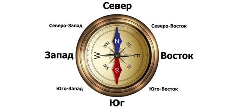 Полезные советы по использованию карты и компаса для определения направления