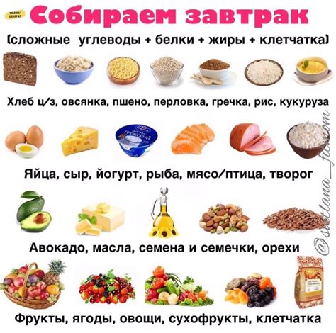 Полный список пищевых продуктов для овечек