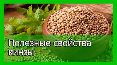 Положительные свойства кинзы