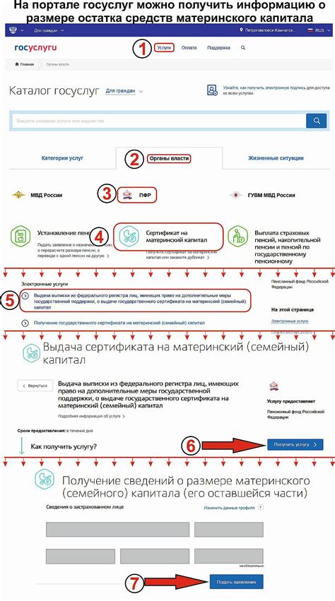 Получайте информацию о размере и условиях использования материнского капитала