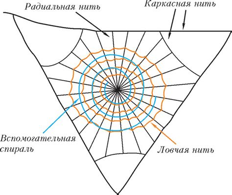 Получение из паутины