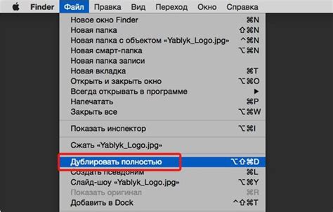 Получение результата: предоставление данных о владельце