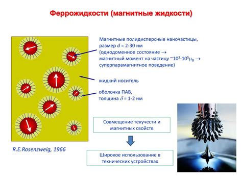 Поляризационный анализ