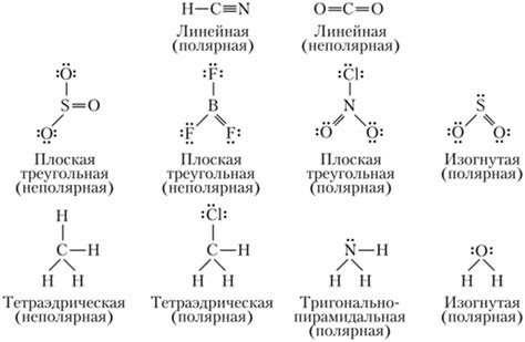 Полярность в жизни: примеры из химии