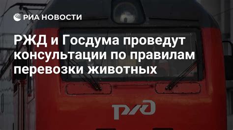 Помощь и консультации по использованию Этран РЖД