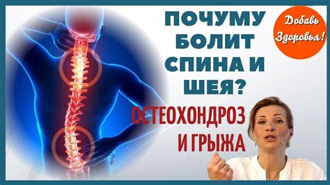 Помощь специалистов: что делать при возникновении болей в спине и шее