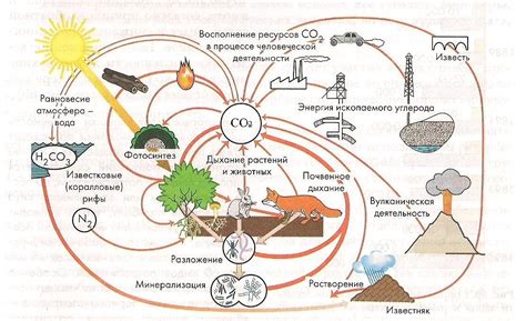 Понятие избыточного азота